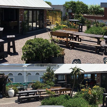 Happy Hippo Accommodation Durban Exterior photo
